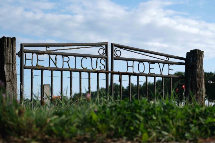 Hekwerk Henricus Hoeve
